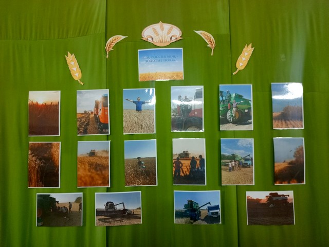 foto 2025 07 31 13 25 002