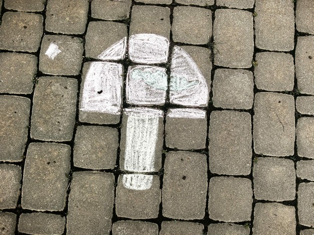 foto 2025 06 23 10 29 003